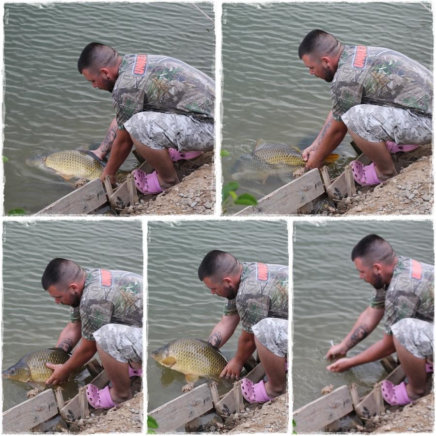 CarpFishingPictures - release.jpg